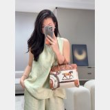 Luxury Hermes Horse Totem Limited Edition Birkin Handbag