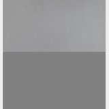 Luxury YSL KATE TASSEL Croco Vein Handbag