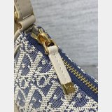 Dior 30 Montaigne Cigale Chain 7 Star 5867 Replicas Bag