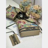 Dior Souvenir Soft Dior Book Tote PAIRS