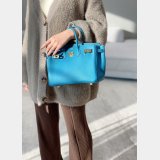 Fashion Hermes Birkin TOGO Leather Handbags 25CM
