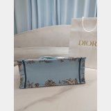 Inspired Christian Dior Dioriviera Medium Dior Book Tote