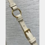 Dior 30 Montaigne Cigale Chain 7 Star 5867 Replicas Bag