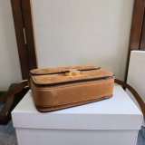 CLASSIQUE TRIOMPHE BAG Suede