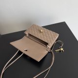 Best Bottega Veneta Andiamo Pouch
