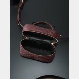 YSL GABY Vanity Bag In Lambskin