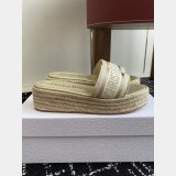 Luxury Dior Dway Platform Slide