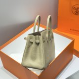 Best Hermes Birkin TOGO Leather Handbags 25CM