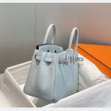High Quality Hermes Birkin TOGO Leather Handbags 25CM