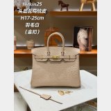 Hermes birkin 25cm calf Leather ostrich Vein bag