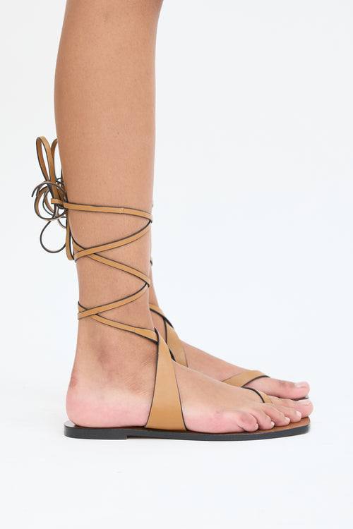 A Emery Brown Leather Lace Up Sandal