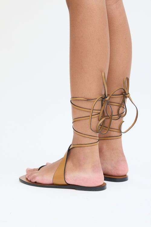 A Emery Brown Leather Lace Up Sandal