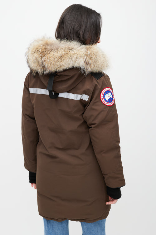 Canada Goose Brown Arctic Resolute Down Parka