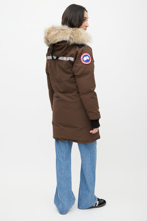 Canada Goose Brown Arctic Resolute Down Parka