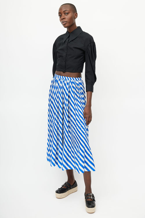 Dries Van Noten Blue 
Green Striped Pleated Skirt