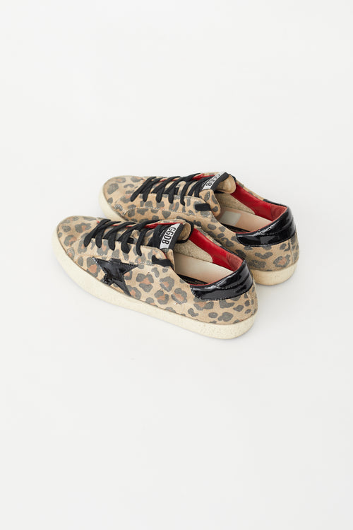 Golden Goose Brown Print Superstar Sneaker