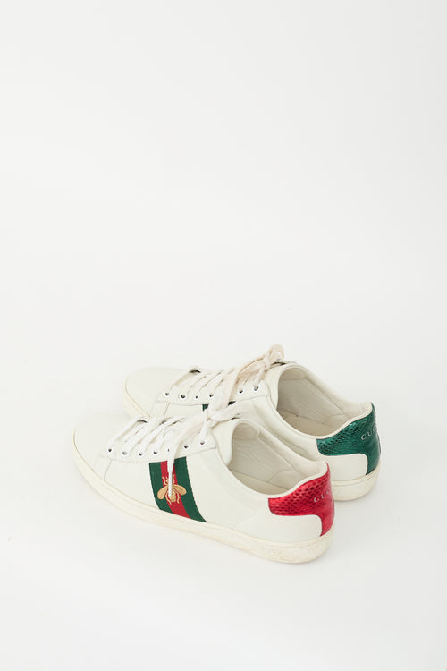 Gucci White 
Multi Leather Ace Bee Sneaker