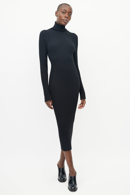 Haider Ackermann Black Ribbed Turtleneck Dress