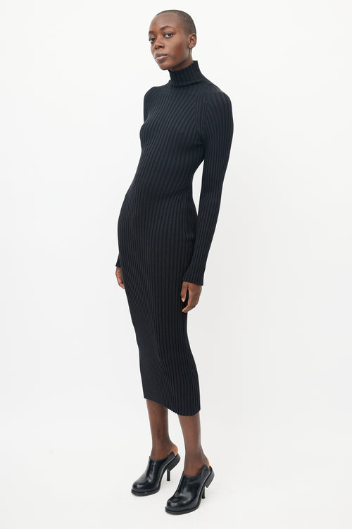 Haider Ackermann Black Ribbed Turtleneck Dress