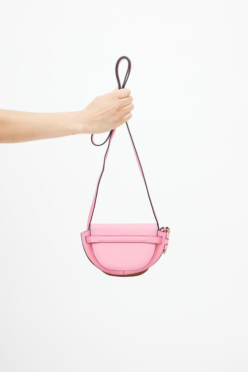 Loewe Pink Small Gate Crossbody Bag