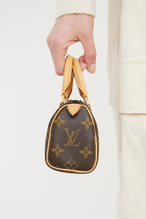 Louis Vuitton Brown Monogram Nano Speedy Bag