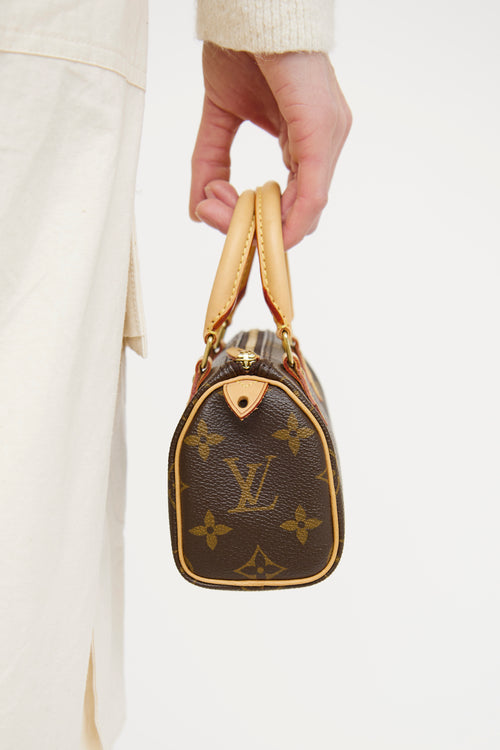 Louis Vuitton Brown Monogram Nano Speedy Bag