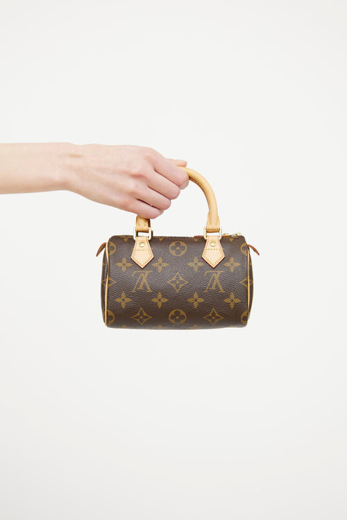 Louis Vuitton Brown Monogram Nano Speedy Bag