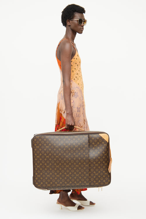 Louis Vuitton Brown 2010 Monogram Pegase Luggage