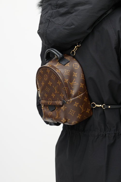 Louis Vuitton Brown 
Black Palm Springs Monogram Mini Backpack