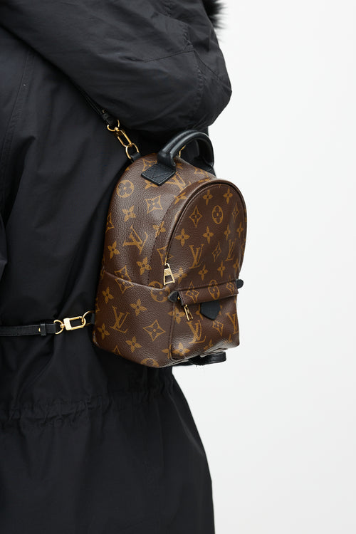 Louis Vuitton Brown 
Black Palm Springs Monogram Mini Backpack