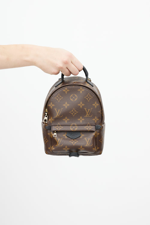 Louis Vuitton Brown 
Black Palm Springs Monogram Mini Backpack