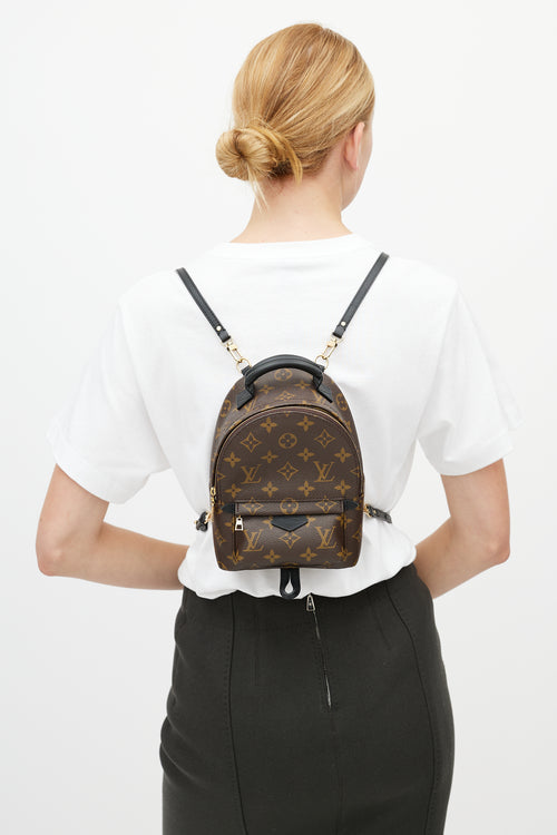 Louis Vuitton Brown 
Black Palm Springs Monogram Mini Backpack