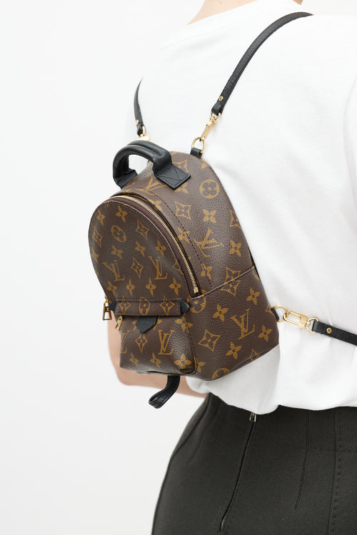 Louis Vuitton Brown 
Black Palm Springs Monogram Mini Backpack