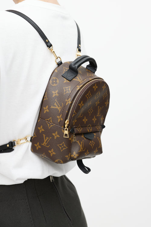 Louis Vuitton Brown 
Black Palm Springs Monogram Mini Backpack