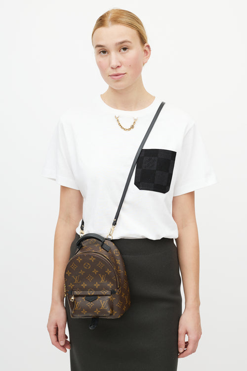 Louis Vuitton Brown 
Black Palm Springs Monogram Mini Backpack