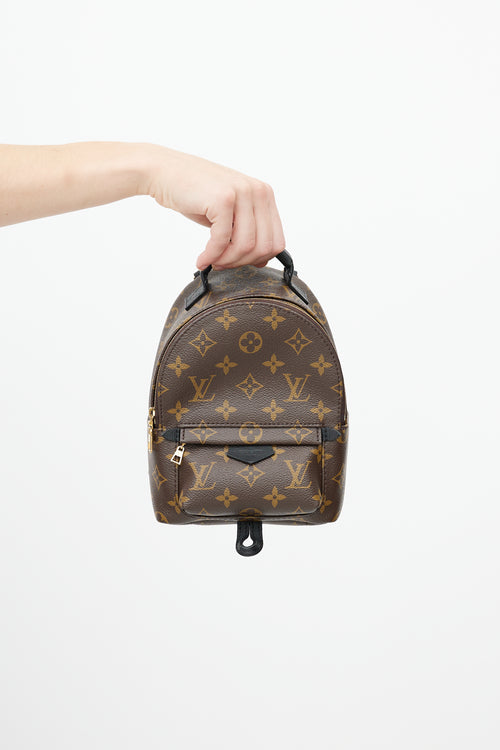 Louis Vuitton Brown 
Black Palm Springs Monogram Mini Backpack