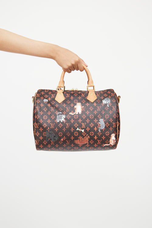 Louis Vuitton Brown Catogram Speedy Bandoliere Bag