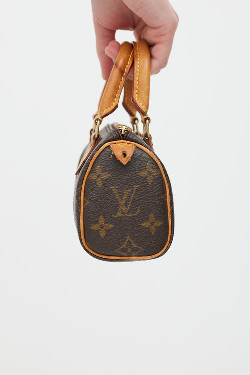 Louis Vuitton Brown Nano Speedy Monogram Bag