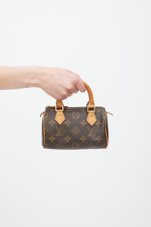 Louis Vuitton Brown Nano Speedy Monogram Bag