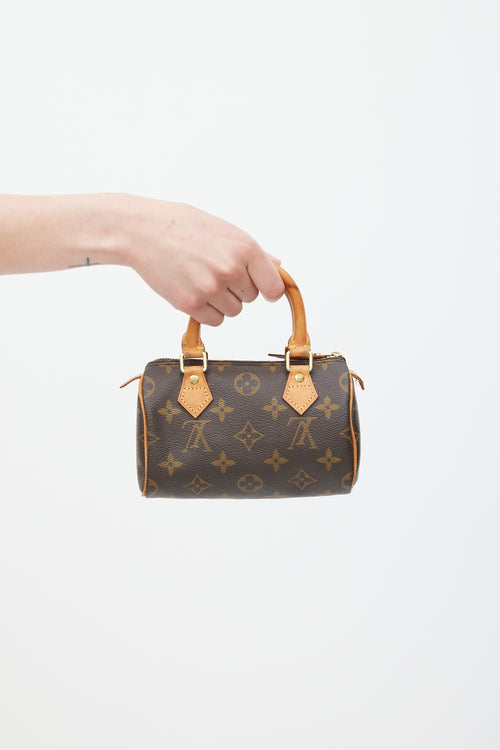 Louis Vuitton Brown Nano Speedy Monogram Bag