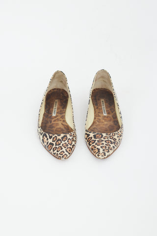 Manolo Blahnik Brown 
Black Printed Leather Flat