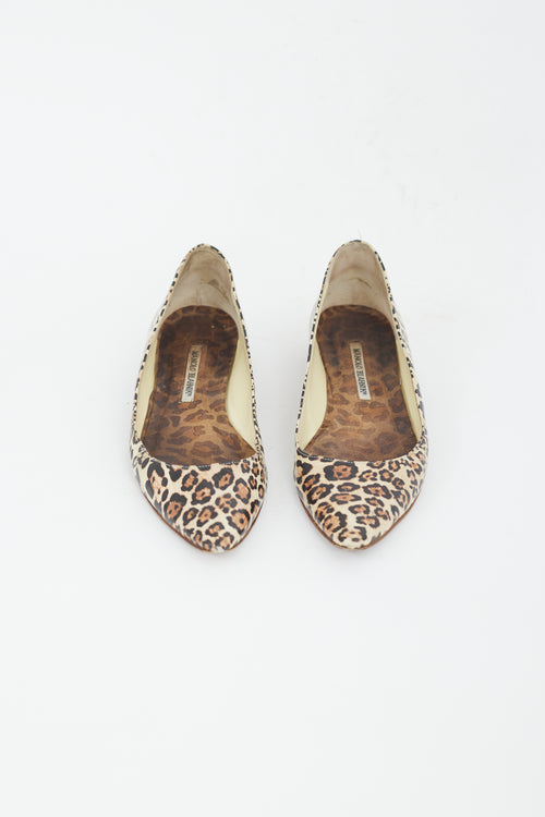 Manolo Blahnik Brown 
Black Printed Leather Flat