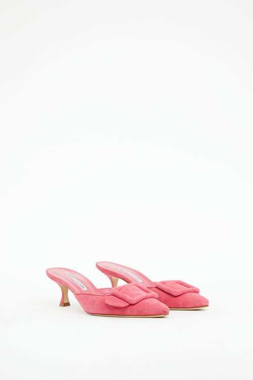 Manolo Blahnik Pink Buckle Maysale Mule