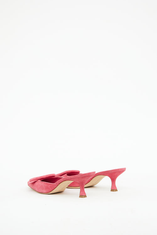 Manolo Blahnik Pink Buckle Maysale Mule