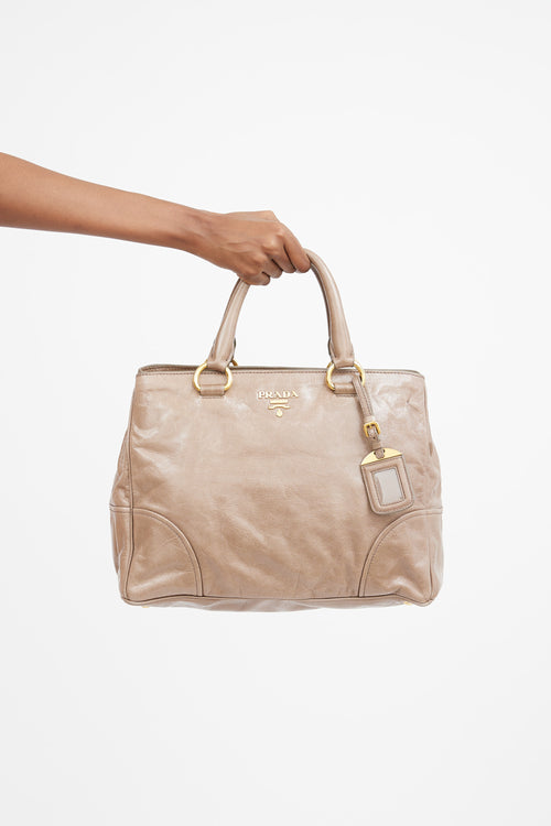 Brown Leather Vitello Shine Bag