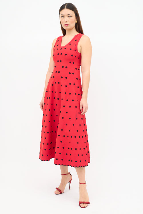 Alaïa Polka Dot A-Line Dress