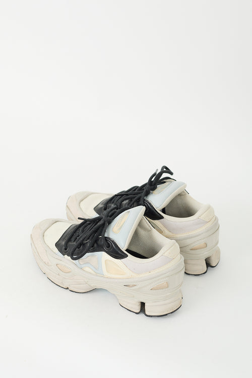 Raf Simons X Adidas Cream 
Black Ozweego III Sneaker