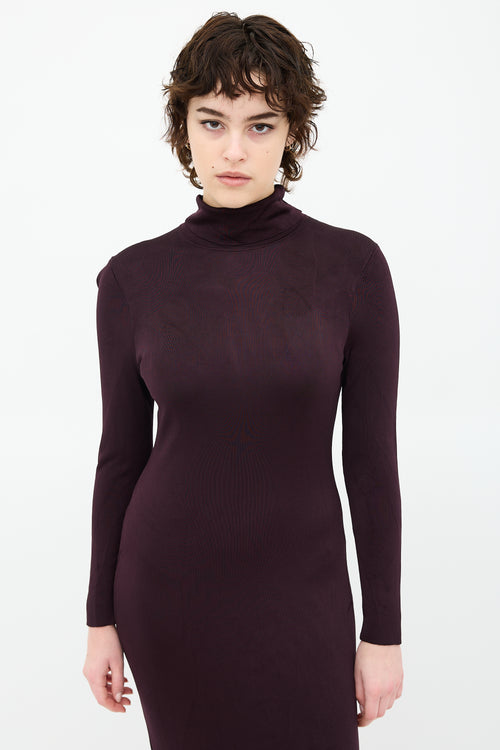 Veronica De Piante Long Turtleneck Dress